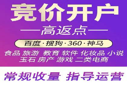 竞价推广代运营：成功案例解析